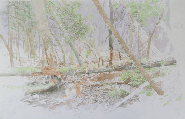 10665893_963912816969071_2922380341405159326_n