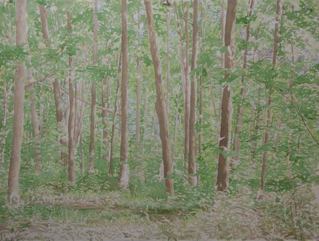 10881521_1026515927375426_7548908964770761587_n