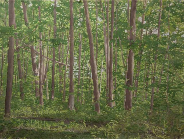 1185284_720472547979767_1100592708_n