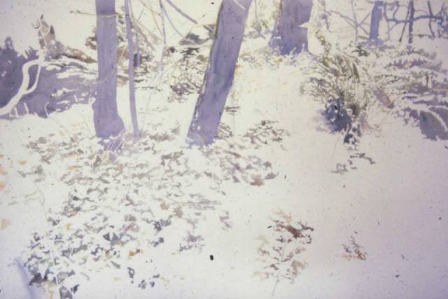 264524_720427904650898_751220721_n