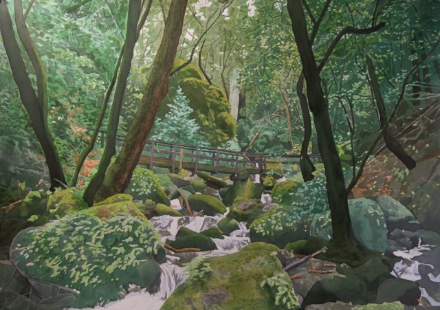 cataract bridge painting05