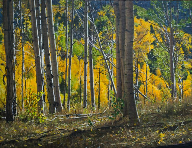 Aspens in Fall 2-5423