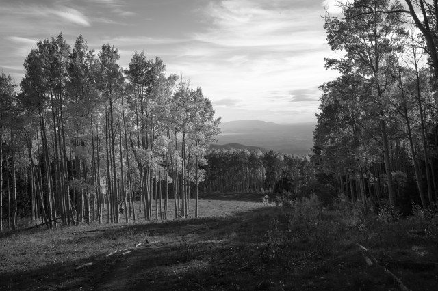 mid-range-splendor-6464