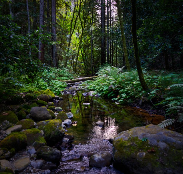 _DSC1844_5_6HDR Panorama