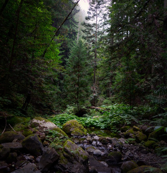 _DSC1871_2_3HDR Panorama